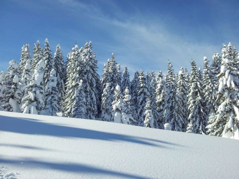 Образ: зима в Альта Бадиа